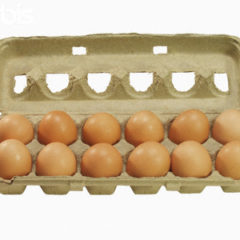 Organic Eggs per dozen large eggs