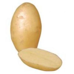 Organic NICOLA Potatoes per kg