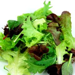 Salad Mix Punnet 120g - Organic