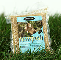 Tempeh GARLIC & CORRIANDER 260g PrimaSoy