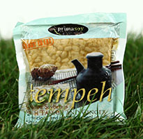 Tempeh TAMARI & GINGER 260g PrimaSoy