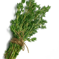 Thyme Organic - bunch