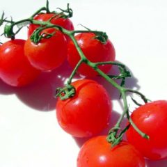 Tomatoes - CHERRY Organic