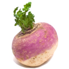 Turnips - Organic per 500g