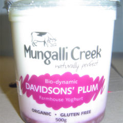 Yoghurt DAVIDSONs PLUM 500g Mungalli Creek