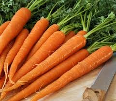 Organic Dutch Carrots Bunch