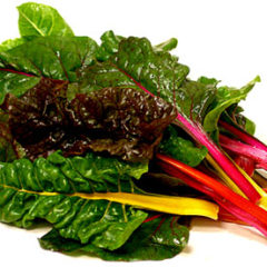 Organic Chard RAINBOW