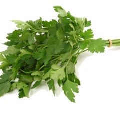 Organic Parsley FLAT Bunch
