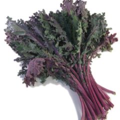 Organic Kale RED
