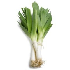 Organic Leeks in a Bunch