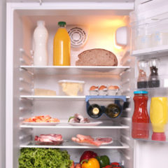 Fridge