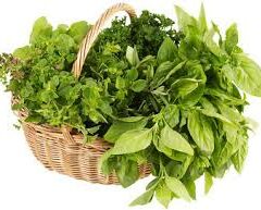 Fresh Herbs