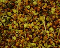 Sprouts