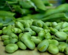 Organic Broad Beans per 500g