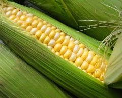 Organic Corn Cob Sweet - 2 pack