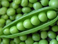 Organic Peas (Shelling) per 500g - Red Hill Fresh