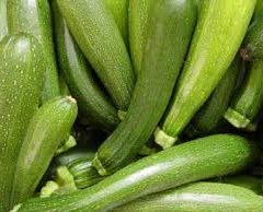 Organic Zucchini 10kg BULK