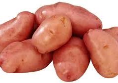 desiree potatoes, desiree potato, organic desiree potatoes, red hill fresh