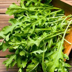Organic Rocket Salad Leaves