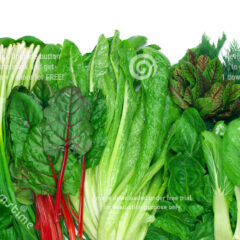 Leafy Green Extra Pack