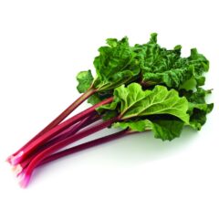 Organic Rhubarb Bunch