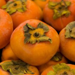 Organic Vanilla Persimmons x 6