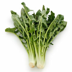 Organic Chicory Bunch